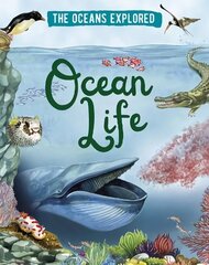 Oceans Explored: Ocean Life Illustrated edition cena un informācija | Grāmatas pusaudžiem un jauniešiem | 220.lv