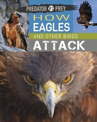 Predator vs Prey: How Eagles and other Birds Attack Illustrated edition cena un informācija | Grāmatas pusaudžiem un jauniešiem | 220.lv