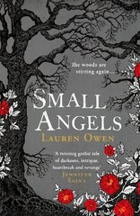 Small Angels: A 'beautifully written modern ghost story' New York Times цена и информация | Книги по социальным наукам | 220.lv