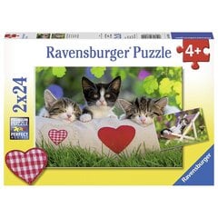 Пазл Ravensburger 2x24 шт., котята цена и информация | Пазлы | 220.lv