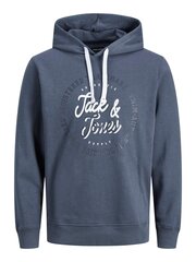 Jack & Jones vīriešu sporta krekls 12211551*02, zils/omb 5715309715757 cena un informācija | Vīriešu jakas | 220.lv