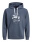 Jack & Jones vīriešu sporta krekls 12211551*02, zils/omb 5715309715757 цена и информация | Vīriešu jakas | 220.lv