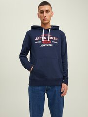 Мужская толстовка Jack & Jones 12211551*03 5715309715443, тёмно-синяя цена и информация | Мужские толстовки | 220.lv