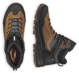 Мужские ботинки Icepeak Abaco 78273-2*150 6438522845009, коричневые цена и информация | Мужские ботинки | 220.lv