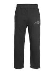Мужские спортивные штаны Jack & Jones 12212550*01, m 5715310454843 цена и информация | Мужские брюки | 220.lv