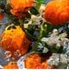 Tualetes ūdens Guerlain Aqua Allegoria Orange Soleia EDT sievietēm/vīriešiem, 75 ml cena un informācija | Sieviešu smaržas | 220.lv