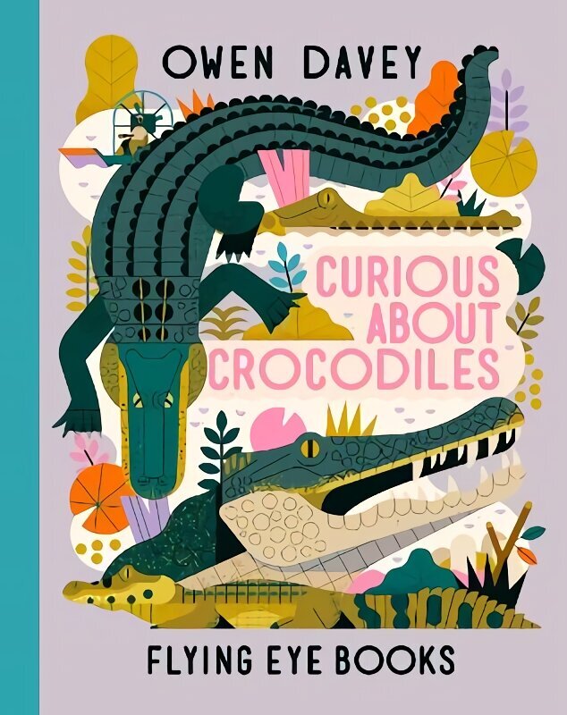 Curious About Crocodiles цена и информация | Grāmatas pusaudžiem un jauniešiem | 220.lv