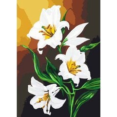 Gleznošanas komplekts pēc numuriem Sniegbaltītes lilijas 40x50 cena un informācija | Gleznas pēc numuriem | 220.lv