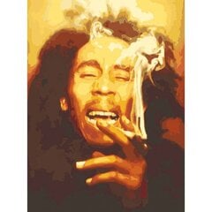 Gleznošanas komplekts pēc numuriem Bob Marley 40x54 cena un informācija | Gleznas pēc numuriem | 220.lv