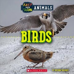 Fast and Slow: Birds (Wild World) cena un informācija | Grāmatas pusaudžiem un jauniešiem | 220.lv