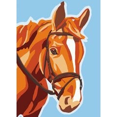Набор для рисования по номерам Лошадь 15x20 цена и информация | Живопись по номерам | 220.lv