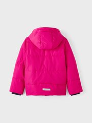 Детская куртка Name It 250 г 13202182*01, f 5715308912720 цена и информация | Куртки, пальто для девочек | 220.lv