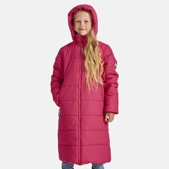 Детское пальто Huppa Nina 300 г 2590030*20026 12590030*00063, f 4741632123816 цена и информация | Куртки, пальто для девочек | 220.lv