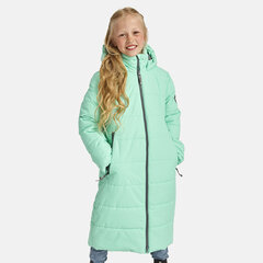 Детское пальто Huppa Nina 300 г 2590030*20026 12590030*20026, 4741632123960, мятное цена и информация | Куртки, пальто для девочек | 220.lv