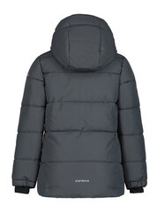 Icepeak детская куртка 120g Louann 50044-2*620, розовый/светло-серый 6438522687210 цена и информация | Куртки, пальто для девочек | 220.lv