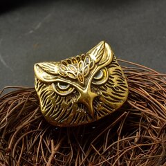 Broša Bronze owl cena un informācija | Piespraudes, brošas | 220.lv