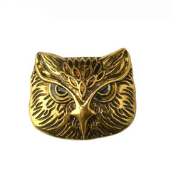 Брошь Bronze owl цена и информация | Броши | 220.lv