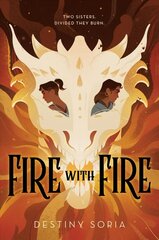 Fire with Fire цена и информация | Книги для подростков  | 220.lv