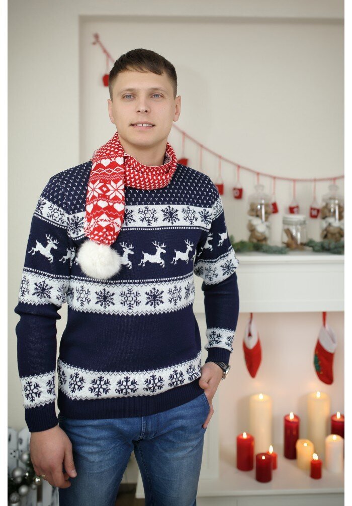 Ziemassvētku džemperis vīriešiem R758 цена и информация | Vīriešu džemperi | 220.lv