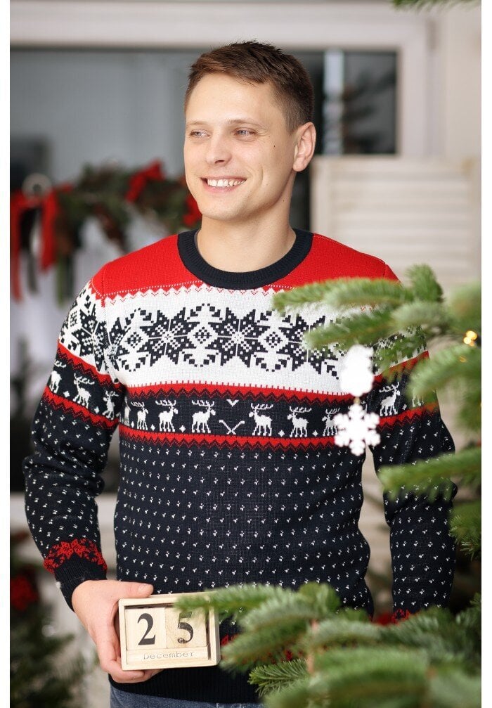 Ziemassvētku džemperis vīriešiem R756 cena un informācija | Vīriešu džemperi | 220.lv