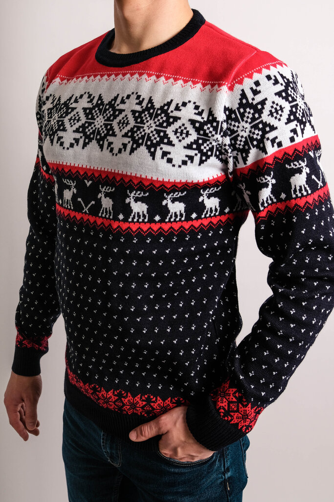 Ziemassvētku džemperis vīriešiem R756 cena un informācija | Vīriešu džemperi | 220.lv