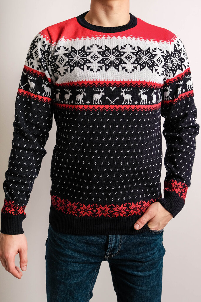 Ziemassvētku džemperis vīriešiem R756 цена и информация | Vīriešu džemperi | 220.lv