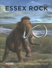 Essex Rock: Geology Beneath the Landscape cena un informācija | Sociālo zinātņu grāmatas | 220.lv
