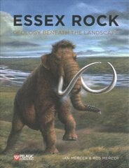 Essex Rock: Geology Beneath the Landscape цена и информация | Книги по социальным наукам | 220.lv