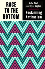 Race to the Bottom: Reclaiming Antiracism цена и информация | Книги по социальным наукам | 220.lv