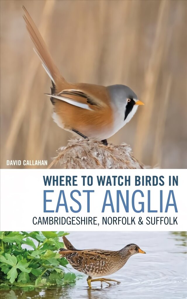 Where to Watch Birds in East Anglia: Cambridgeshire, Norfolk and Suffolk цена и информация | Grāmatas par veselīgu dzīvesveidu un uzturu | 220.lv