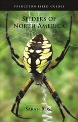 Spiders of North America цена и информация | Книги о питании и здоровом образе жизни | 220.lv