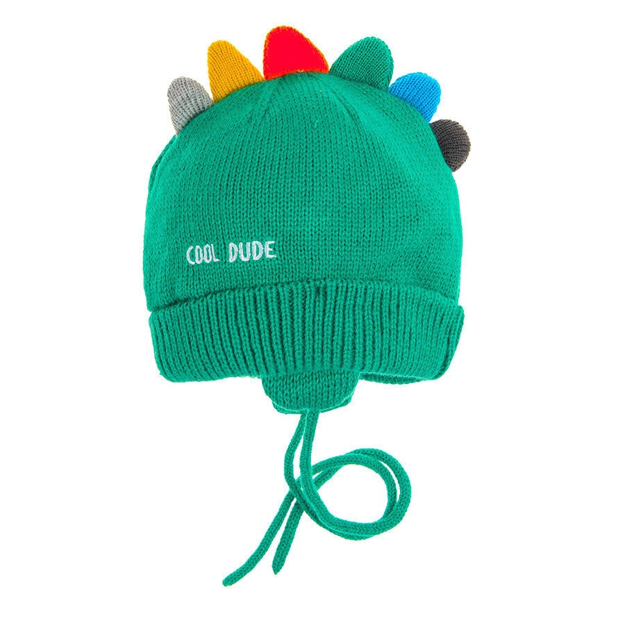 Cool Club cepure zēniem, CAB2501789 цена и информация | Ziemas apģērbs bērniem | 220.lv