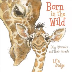 Born in the Wild: Baby Animals and Their Parents цена и информация | Книги для подростков и молодежи | 220.lv