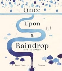 Once Upon a Raindrop: The Story of Water цена и информация | Книги для подростков и молодежи | 220.lv