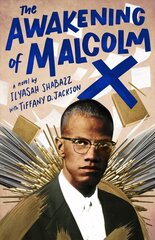 Awakening of Malcolm X: A Novel цена и информация | Книги для подростков  | 220.lv