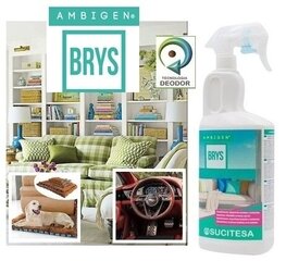 Средство для удаления запаха AMBIGEN BRYS 750ML цена и информация | Ароматы для дома | 220.lv