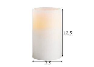 Svece, 12,5 cm cena un informācija | Sveces un svečturi | 220.lv