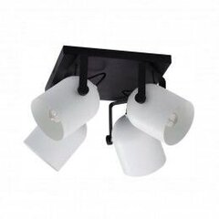 Griestu lampa TK Lighting Spectra black/white kwadrat 3493 cena un informācija | Griestu lampas | 220.lv