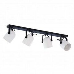 Griestu lampa TK Lighting Spectra black/white 3492 cena un informācija | Griestu lampas | 220.lv