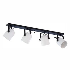 Griestu lampa TK Lighting Spectra black/white 3492 цена и информация | Потолочные светильники | 220.lv