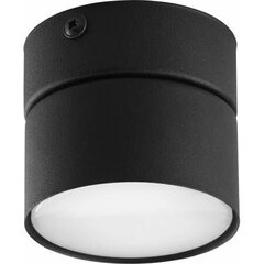 Griestu lampa TK Lighting Space 3398 цена и информация | Потолочные светильники | 220.lv