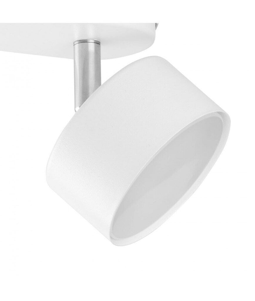 Griestu lampa TK Lighting Clark white 3395 cena un informācija | Griestu lampas | 220.lv