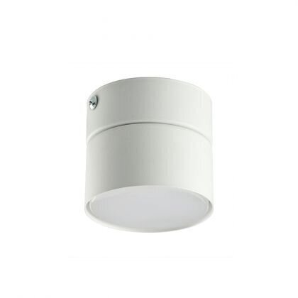 Griestu lampa TK Lighting Space 3390 cena un informācija | Griestu lampas | 220.lv