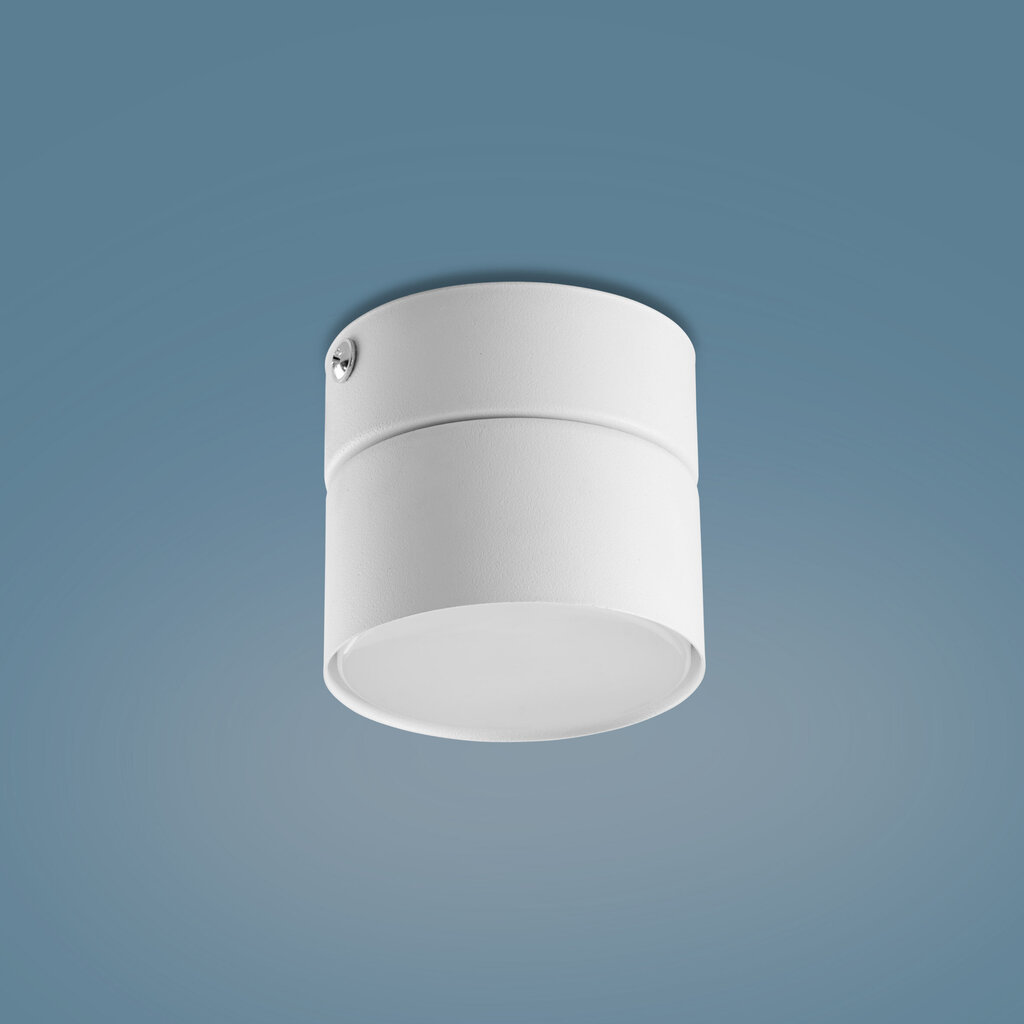 Griestu lampa TK Lighting Space 3390 cena un informācija | Griestu lampas | 220.lv