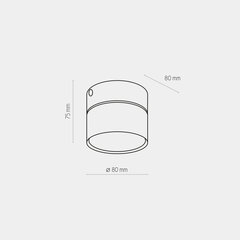 Griestu lampa TK Lighting Space 3390 цена и информация | Потолочные светильники | 220.lv