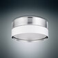 Griestu lampa TK Lighting Hilton silver 4181 цена и информация | Griestu lampas | 220.lv