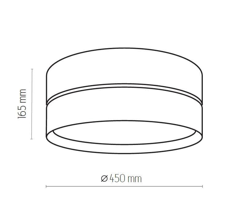 Griestu lampa TK Lighting Hilton 4180 цена и информация | Griestu lampas | 220.lv