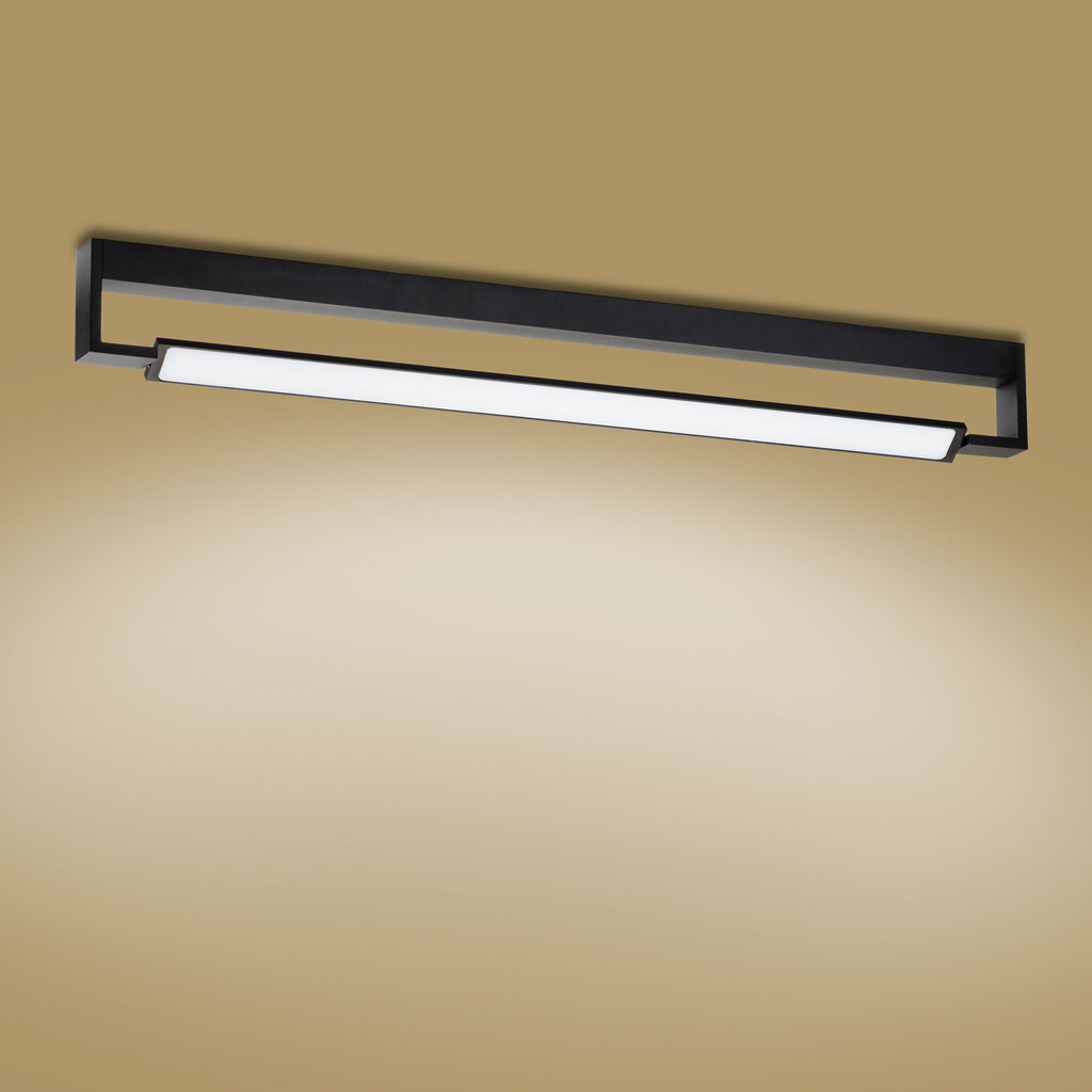 Sienas lampa TK Lighting Dekster 3503 цена и информация | Sienas lampas | 220.lv