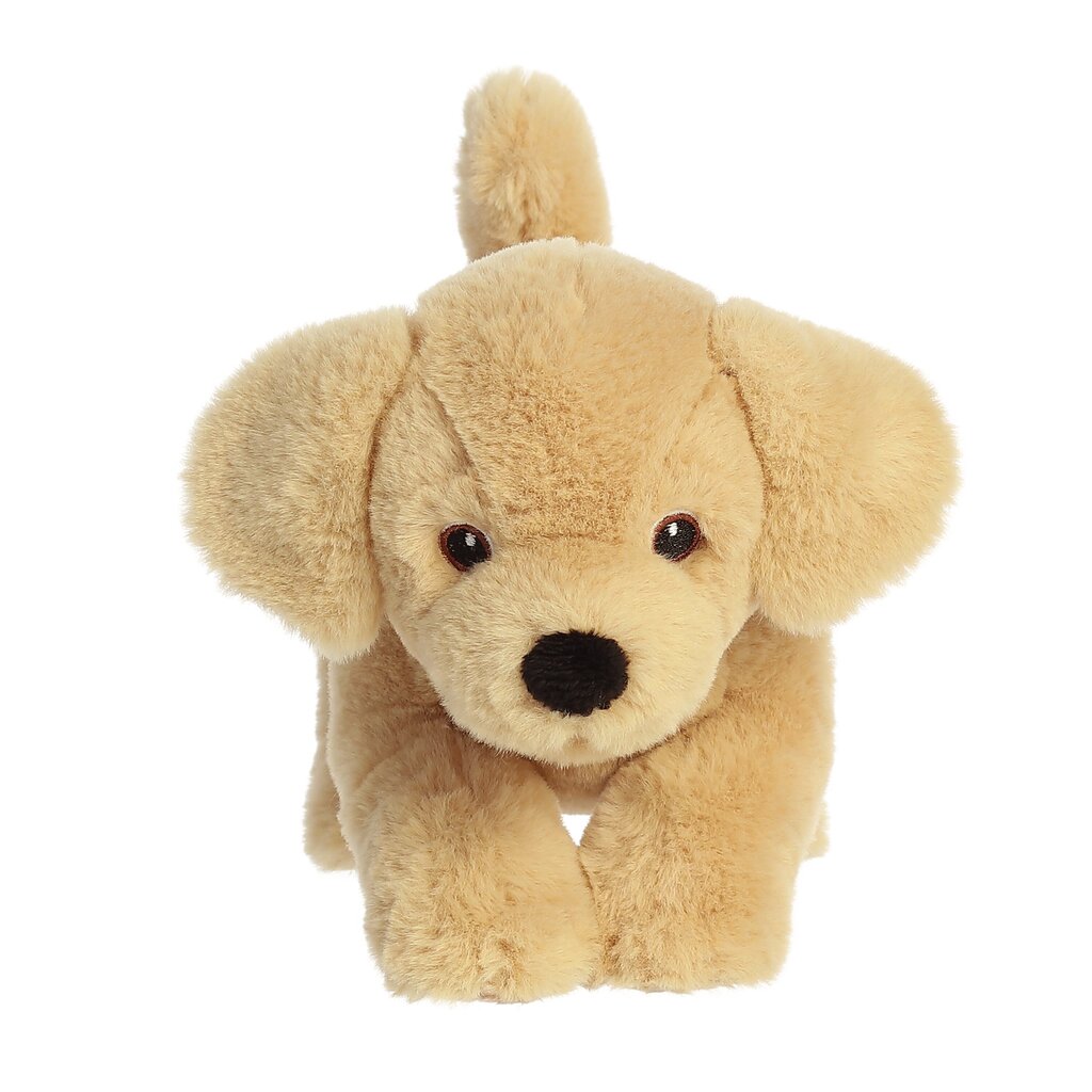 AURORA ECO NATION Labradors, 15 cm cena un informācija | Mīkstās (plīša) rotaļlietas | 220.lv