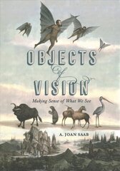 Objects of Vision: Making Sense of What We See цена и информация | Книги об искусстве | 220.lv